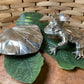 Salt & Pepper - Frog Prince