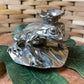 Salt & Pepper - Frog Prince